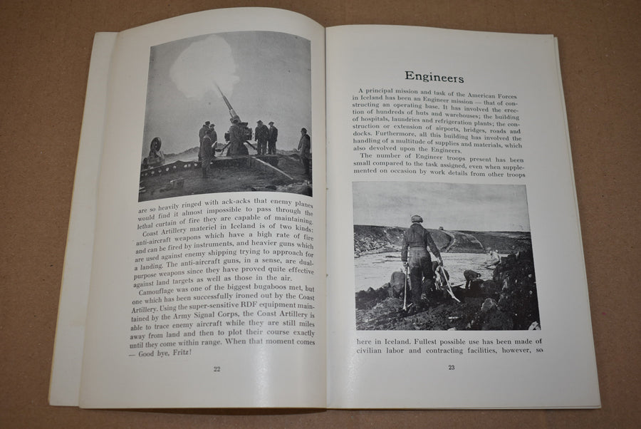 Armed Guardians, one year in Iceland