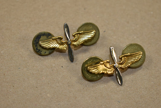 Paire d'insignes d'officier de l'Air Force