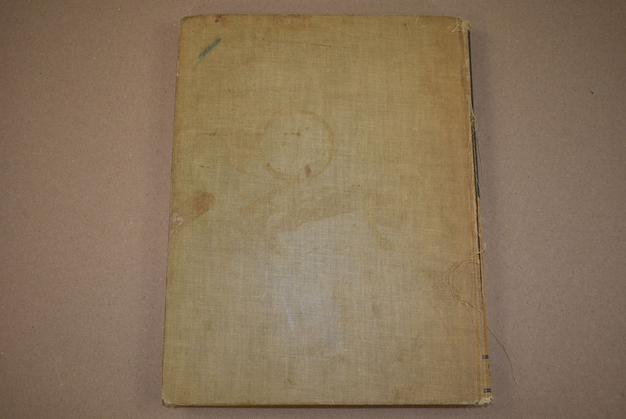 Histoire de l'unité de la 29e Division