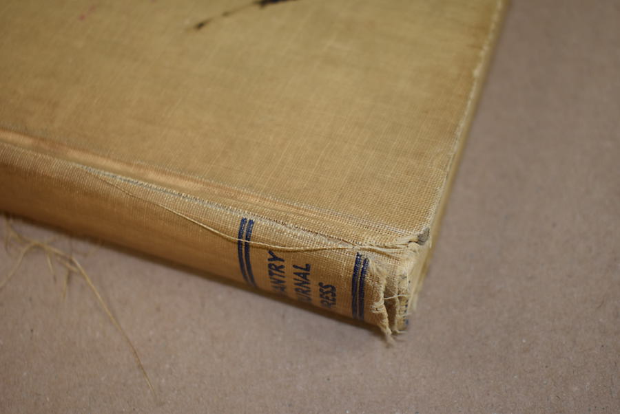 Histoire de l'unité de la 29e Division