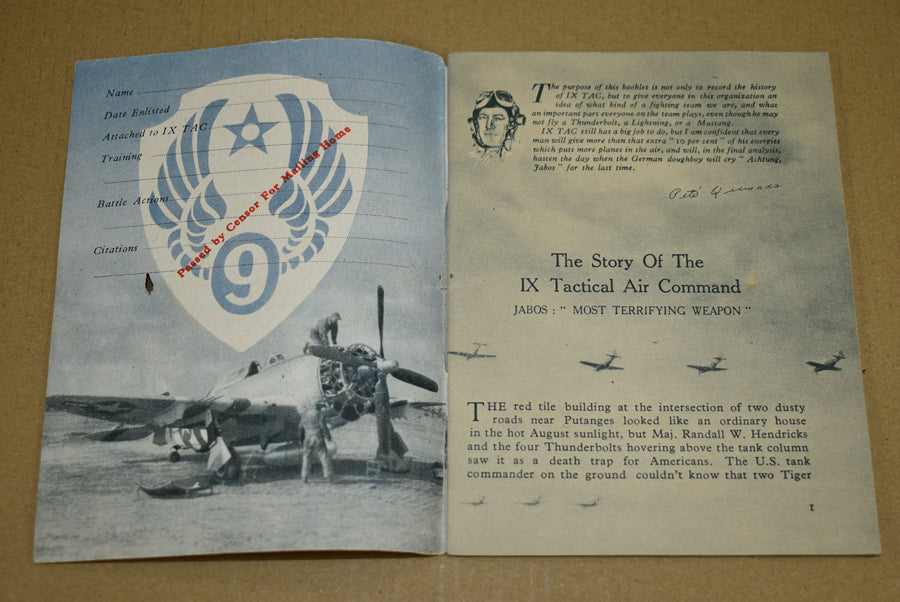 Achtung Jabos! The story of the IX TAC