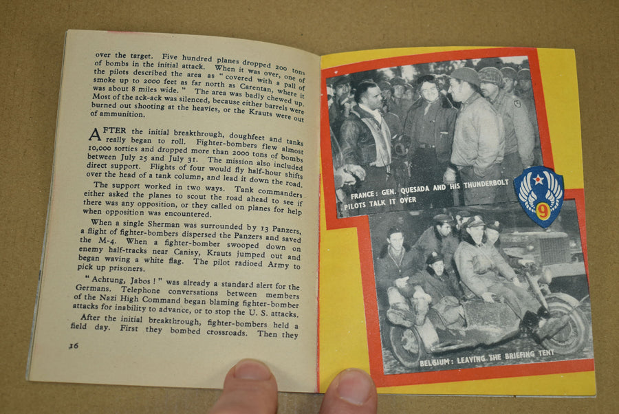 Achtung Jabos! The story of the IX TAC