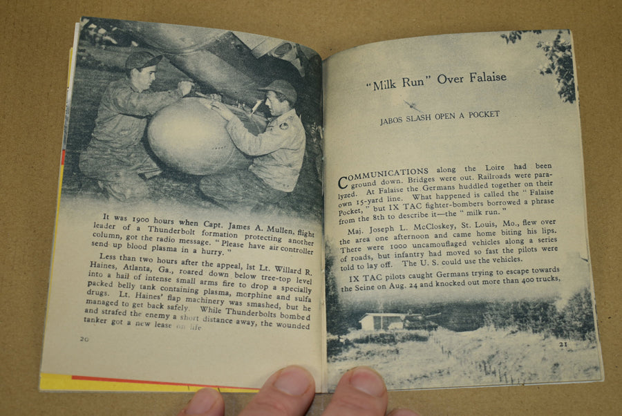 Achtung Jabos! The story of the IX TAC