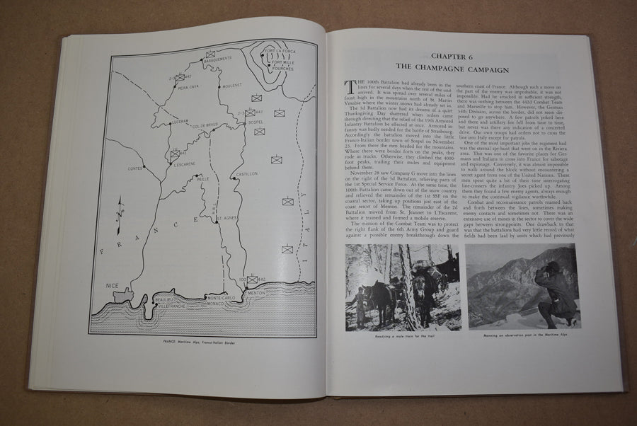 Americans, l'histoire du 442e RCT