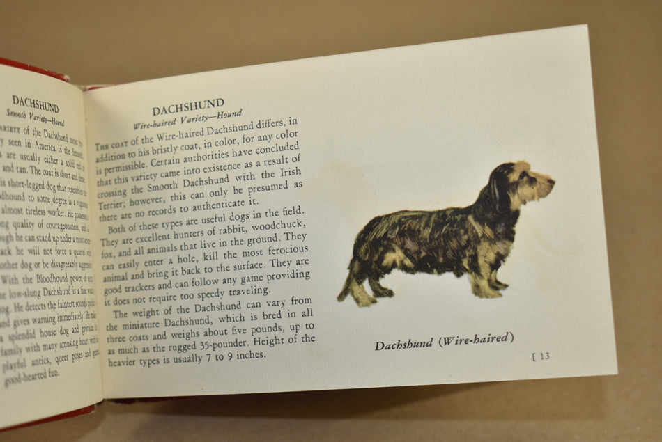 Livret 'The Red Book of Dogs'