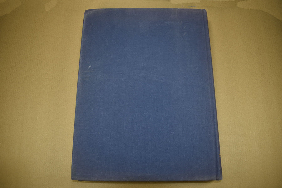 Histoire de l'unité de la 3e Division